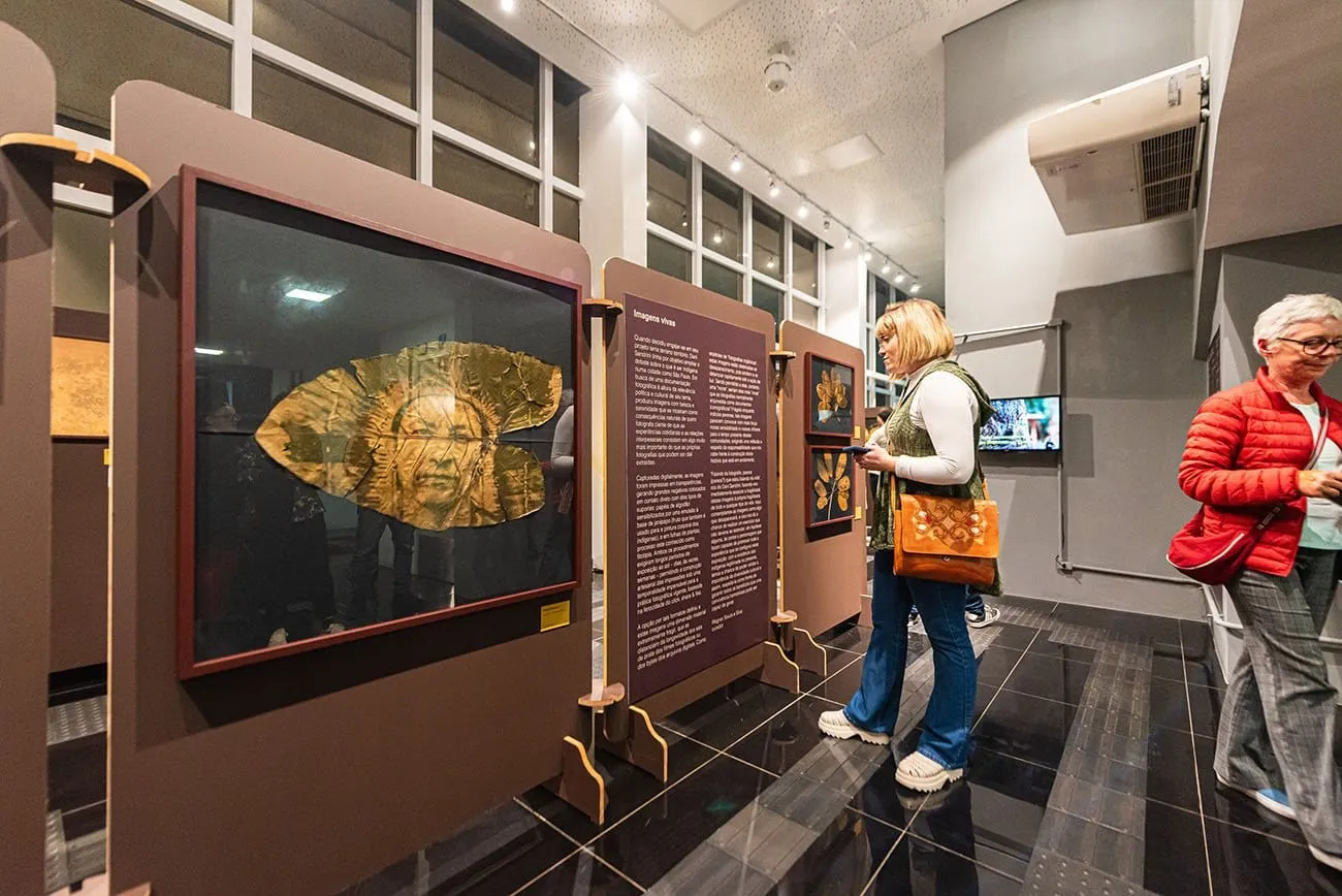 Visitantes diante de uma impressão dourada em folha de planta, emoldurada em painel bordô da exposição Terra Terreno Território